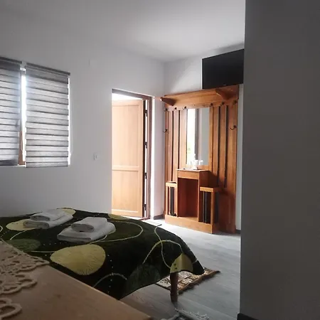 Hanul Vanatorului Guest house